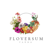 FLOVERSUM